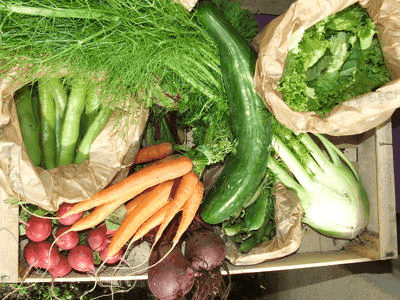 Petit Panier de légumes