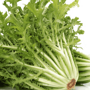 salade frisée