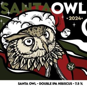 Santa Owl 2024