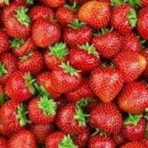 Fraises