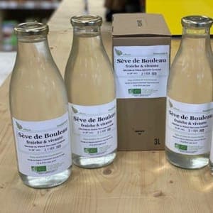 Sève de bouleau