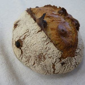 L'écureuil