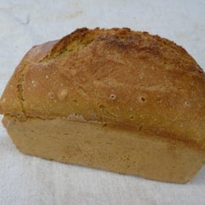 petit épeautre
