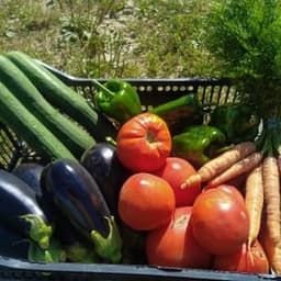 Le Potager de la Grande Ourse #2