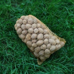 POMME DE TERRE GRENAILLE FILET 5KG