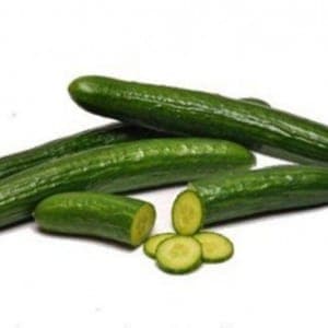 Plant de concombre Rollinson Telegraph