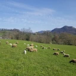 Ferme Caubure  #6