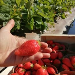 Ferme de la petite Audonnière #3