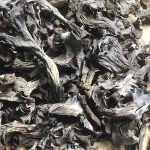 Champignons de Corrèze secs