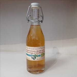 Sirop de 4 Menthes 25 cl