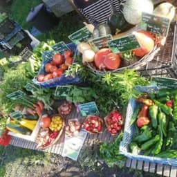 Jardin des Casseilles #0