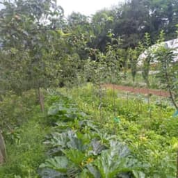 La ferme du Sarrat #5
