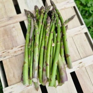 Asperges verte 1 kg