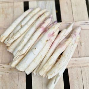Asperges blanche pointe 1 kg