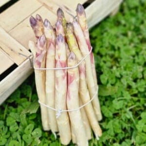 Asperge botte 500gr