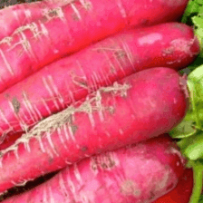 Radis Rose Ostergruss