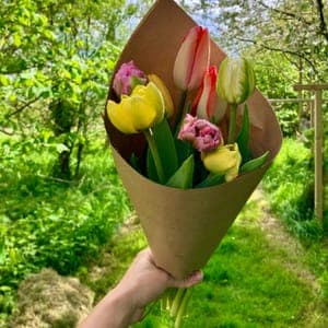 Bouquet de Tulipes