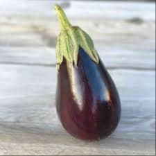 Plant d'Aubergine
