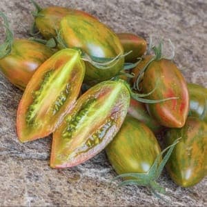 Plant de Tomates Cerises