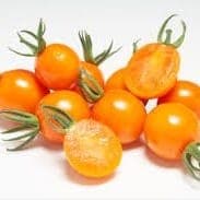 Plant de Tomates Cerises