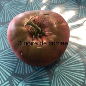 Tomate Noire de Crimée
