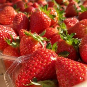Fraise Murano