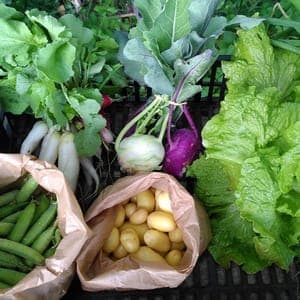 Commande de légumes sur www.dechenilleapapillon.org ("catalogue légumes")