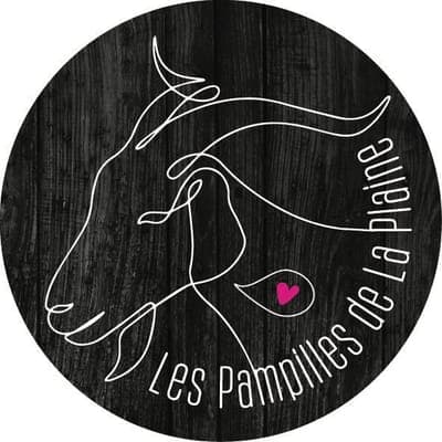 Logo de Les Pampilles de La Plaine 