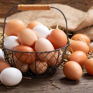 oeufs