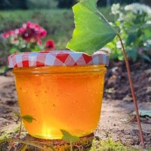 MIEL DE FLEURS