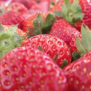 Fraises 🍓 Dream 