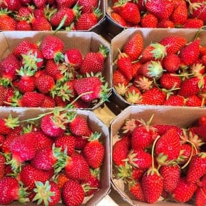 Fraises