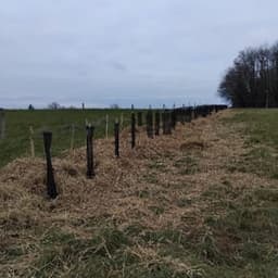 Ferme de Tourenne #7
