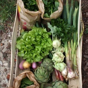 Panier diversifié - Moyen