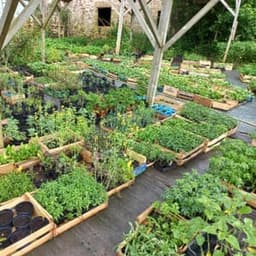 Pépinière jardins de campagne #1