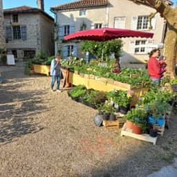 Pépinière jardins de campagne #2