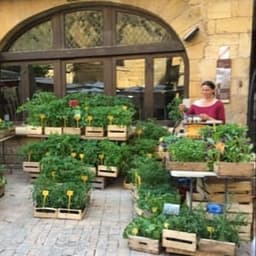 Pépinière jardins de campagne #0