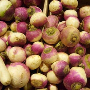 Navet vrac