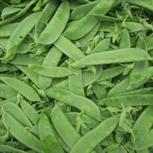 Pois mange-tout