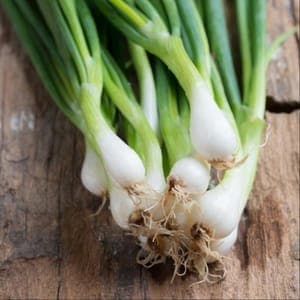 Botte oignons blancs