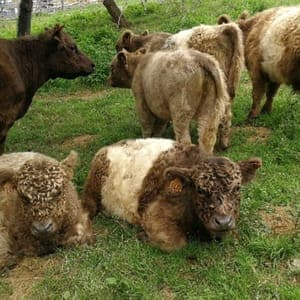 Ferme Kesak'oh!