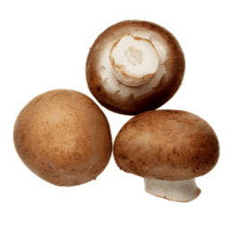 Champignons de Paris brun