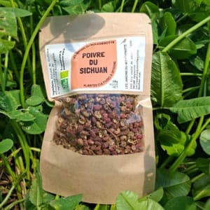 RECHARGE POIVRE DU SICHUAN - 20 g