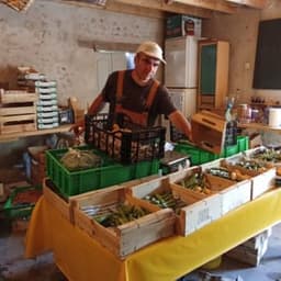 les légumes de Cédric #1