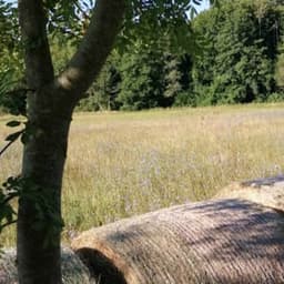 Ferme des Bains Endormis #3