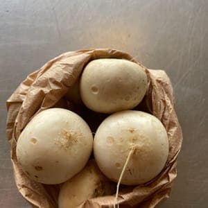 Navets nouveaux vrac 