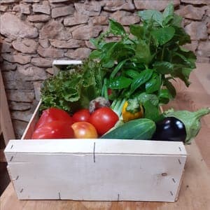 PANIER DE LÉGUMES DE SAISON