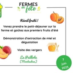la paillote #5