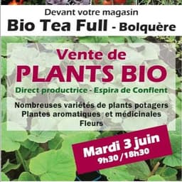 Logo de Plants AB de Nathalie - Bolquère