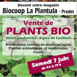 Logo de Plants AB de Nathalie - Prades